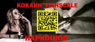 крисы Новокубанск