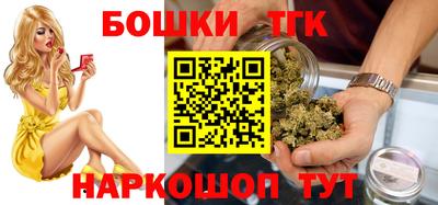 крисы Новокубанск