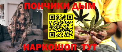 крисы Новокубанск