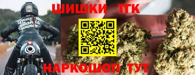 крисы Новокубанск