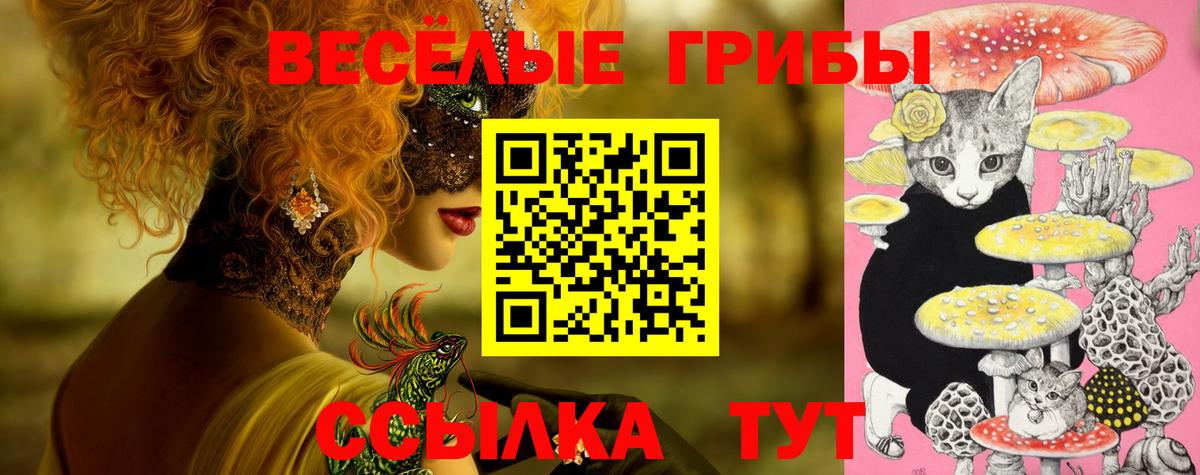 Сорочинск  Галлюциногенные грибы ЛСД  Вход с VPN 