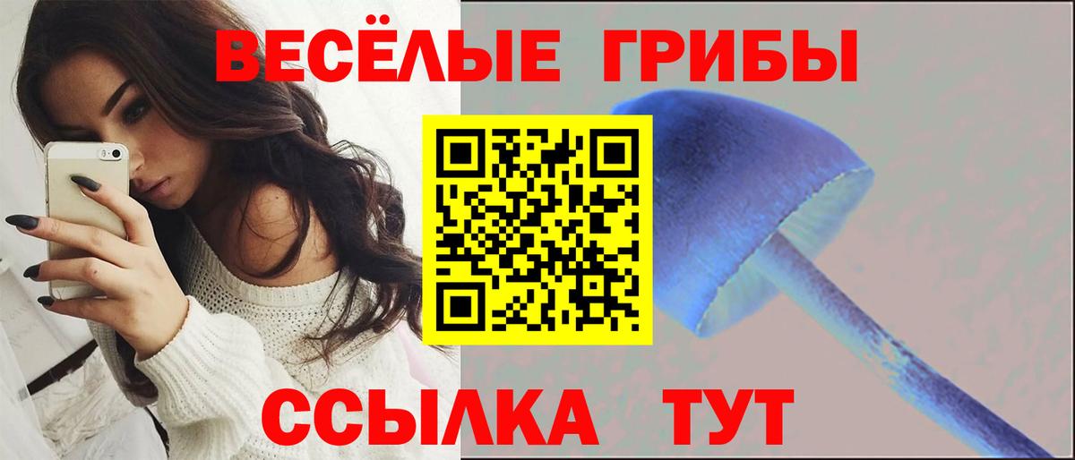 Псилоцибиновые грибы GOLDEN TEACHER Сорочинск